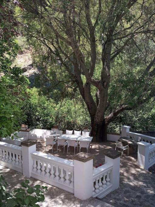 فيلا Casa Fuente De Rechita لا إرويلا المظهر الخارجي الصورة